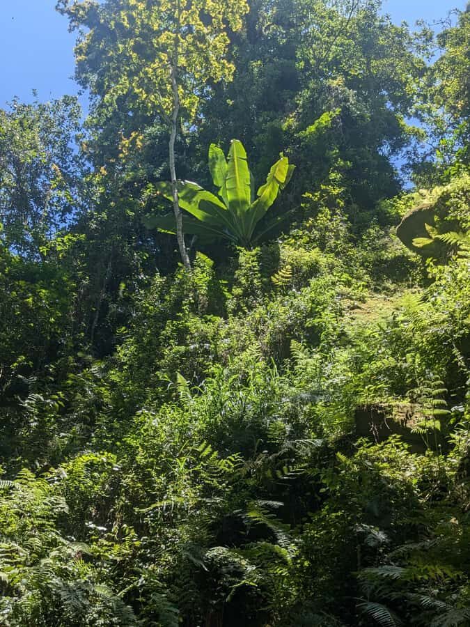 Arusha: Napuru Waterfalls Guided Hike - What to pack for a river-walk hike near Arusha