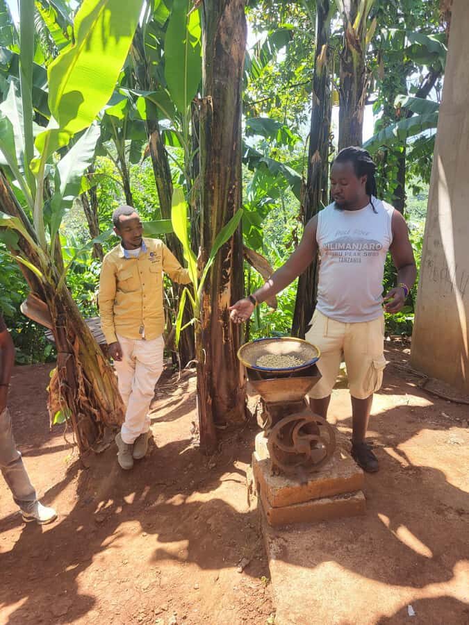 Arusha or Moshi : Hot Spring, Waterfall & Coffee Farm Tour - The day’s pace: how to make 8–13 hours feel easy