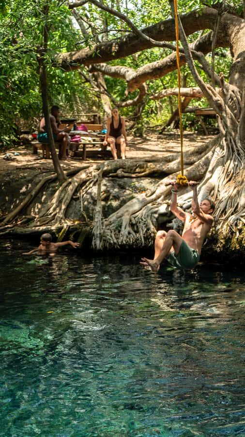 Arusha or Moshi : Hot Spring, Waterfall & Coffee Farm Tour - Who this tour is best for (and who should pass)