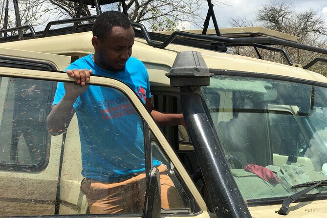 Arusha Private Transport Service in Tanzania - How This Arusha Private Transport Feels in Real Life
