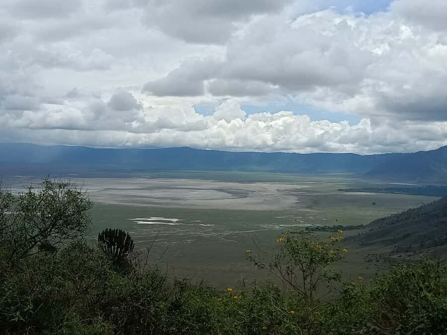 Arusha: Serengeti and Ngorongoro Multi-Day Camping Safari - Day 4: crater-floor drives, Soda Lake flamingos, and the best chance at “more”