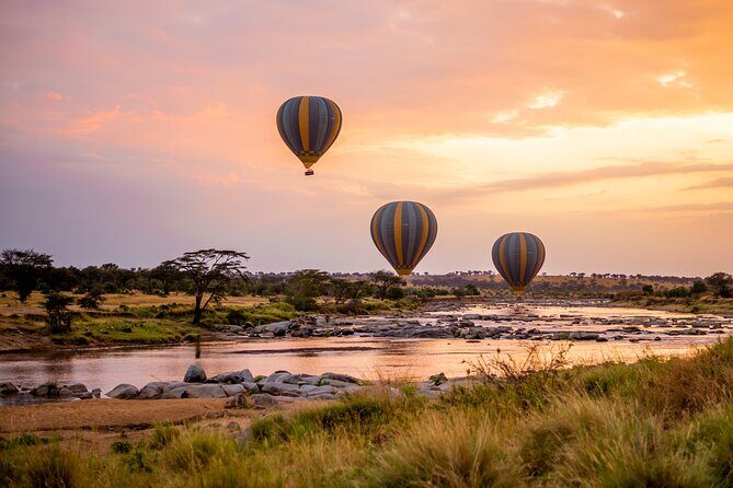 Balloon Safari & Bush Breakfast in Serengeti - Miracle Experience - Price and value: is $599 a smart use of your Serengeti budget?