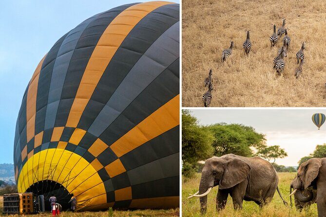Balloon Safari & Bush Breakfast in Tarangire - Miracle Experience - Tarangire Sunrise Ballooning: The Big-View Reason to Go