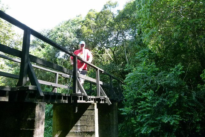 Best Kilimanjaro hiking day trip tour with Kilinge Adventures - Key things I’d notice right away