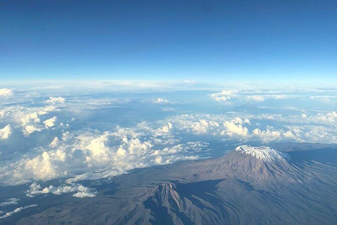 Best Kilimanjaro hiking day trip tour with Kilinge Adventures - Price and Value: Why $100 Might Be a Good Move (and What to Budget)