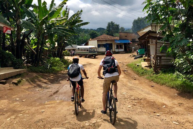 Chagga Villages in Mount Kilimanjaro Cycling Day Trip - Flora, Fauna, and the Slow-Down Moments