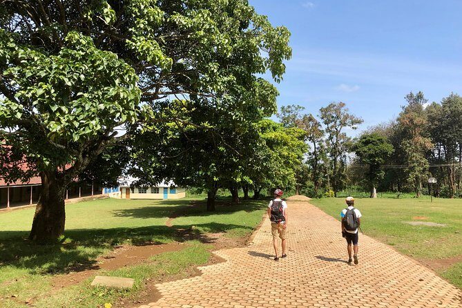 Chagga Villages in Mount Kilimanjaro Cycling Day Trip - Gear, Helmet, and Guide Styles That Matter