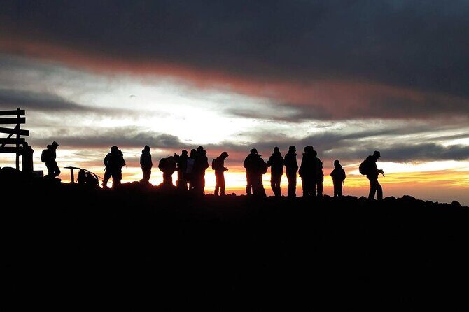 Climbing Kilimanjaro - Machame Route - Day 2: Shira Plateau and those glacier views