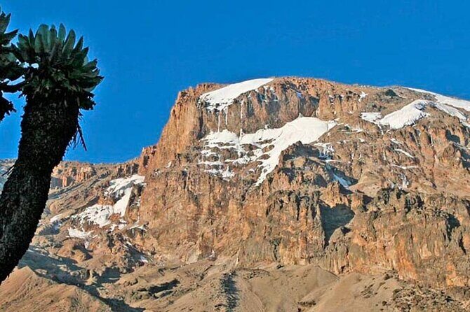 Climbing Kilimanjaro - Machame Route - Day 3: Lava Tower (4,630 m) and the hardest middle day