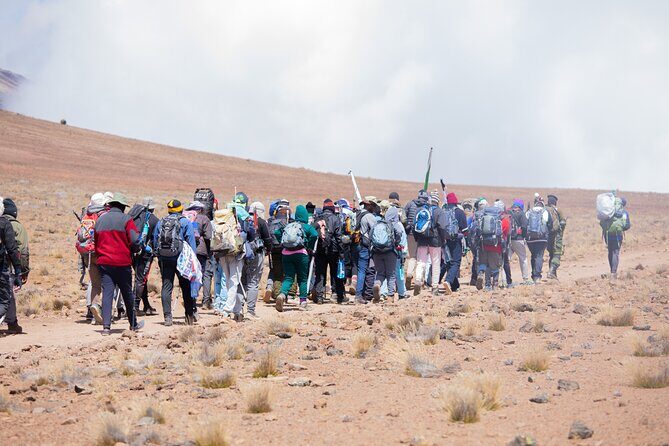 Climbing Kilimanjaro - Marangu Route - Day 1 through rainforest to Mandara Huts (plus Maundi Crater)