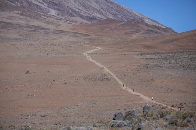 Climbing Kilimanjaro - Marangu Route - Day 3: the saddle moonscape and a preview of the summit climb
