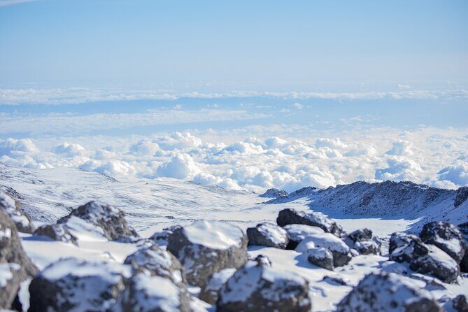 Climbing Kilimanjaro - Marangu Route - Day 5: descent back through moorland and lush forest to the gate