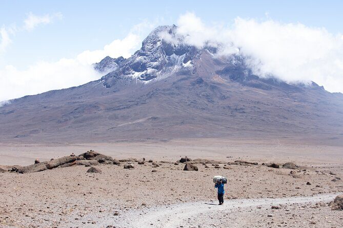 Climbing Kilimanjaro - Marangu Route - Day 2: from rainforest glades to Horombo Huts and Mawenzi views