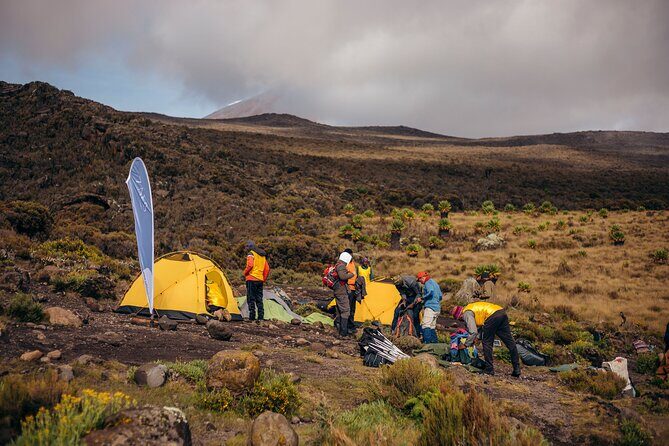 Climbing Kilimanjaro through 7 days Machame Route - Summit Night Approach: Support, Monitoring, and Staying in Control