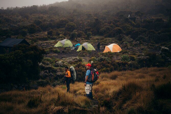 Climbing Kilimanjaro through 7 days Machame Route - Moshi Start Point: Smooth Begin, Not Chaos