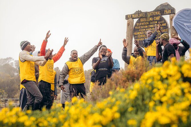 Climbing Kilimanjaro through 8 days Lemosho Route - Key Things That Make This Lemosho Climb Worth Your Time
