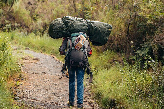 Climbing Kilimanjaro through 8 days Lemosho Route - Your Crew: Guides, Chef Zachariah, and the Day-to-Day Teamwork