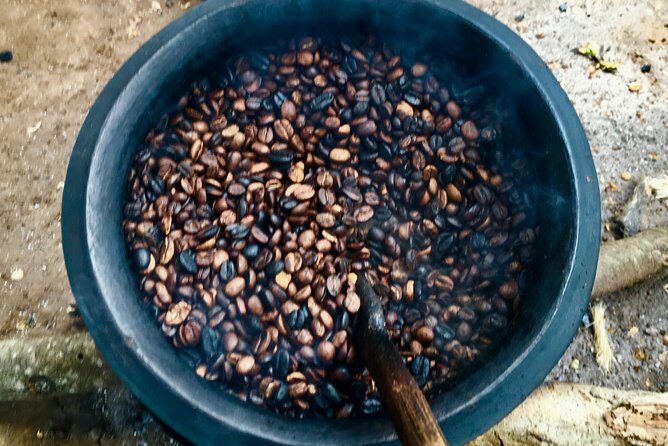 Coffee tour and Buffet Lunch with Kingstone Asilia (Arusha) - Planting (when in season) and harvesting ripe cherries