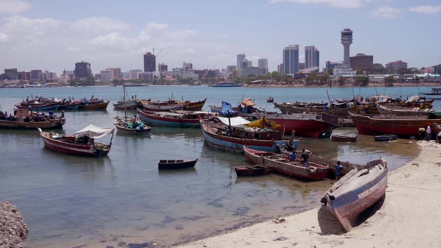 Dar es Salaam: City Tour - Village Museum Stops: Cultural Homes, Real Performances, and Meaningful Stories