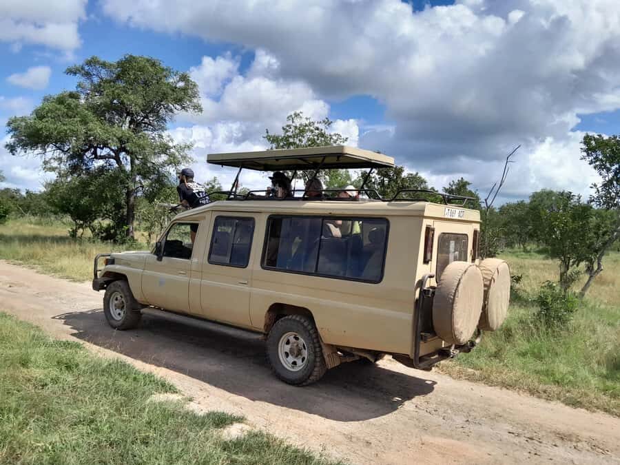Dar es Salaam: Mikumi National Park Day Trip with Train Ride - Mikumi game drive: animals you can plan around