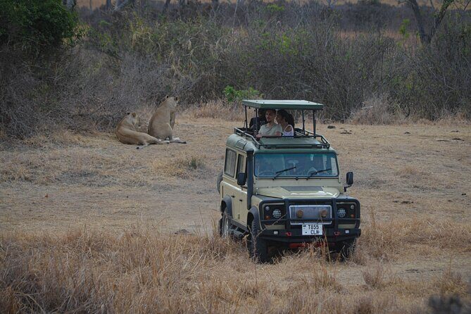 Day Safari Tour Selous Game Reserve - Key things to know before you go