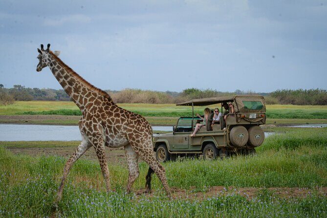 Day Safari Tour Selous Game Reserve - Nyerere National Park and Selous: the setting you’re really paying for