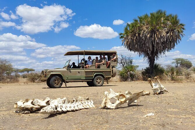 Day Safari Tour Selous Game Reserve - What you do after you land: your first drive, then water-country viewing