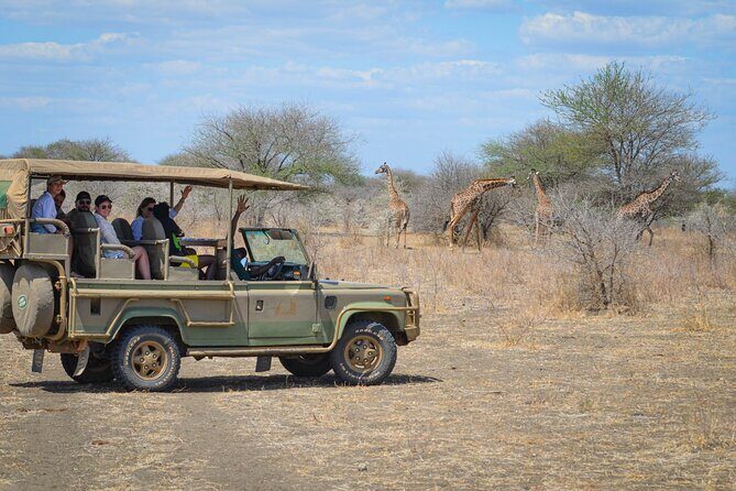 Day Safari Tour Selous Game Reserve - Unlimited game drives: why this matters more than it sounds