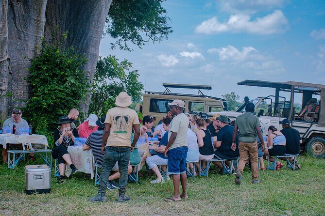 Day Safari Tour to Mikumi National Park - Price and value: $480 per person, and what you’re really paying for