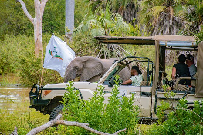 Day Safari Tour to Mikumi National Park - What makes Mikumi worth a day trip (and what might disappoint)