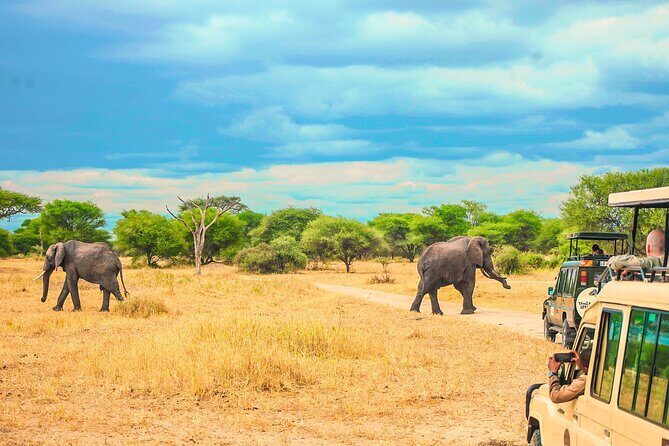 Day Safari tour to Selous Game Reserve from Zanzibar - The flight and the small-group rhythm