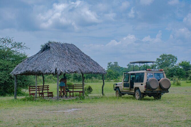 Day Safari tour to Selous Game Reserve from Zanzibar - Who should book this Selous day safari (and who should skip it)