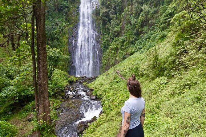 Day Trip Coffee Tour and Materuni Waterfalls - First stop: Materuni Village and real Chagga daily life