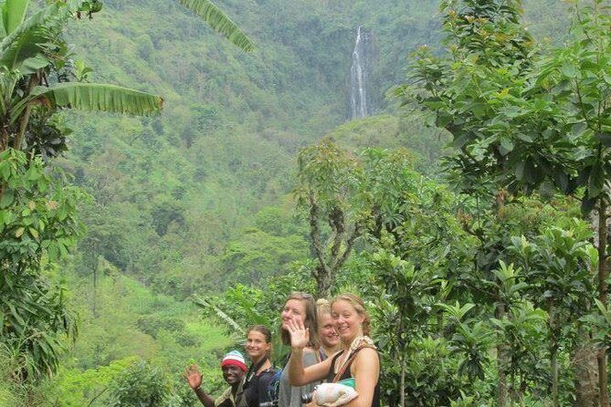 Day Trip Coffee Tour and Materuni Waterfalls - Lunch at the falls: why included food is a smart move