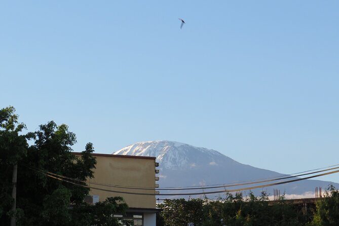 Day Trip to Kilimanjaro National Park - Key Things You’ll Notice Right Away