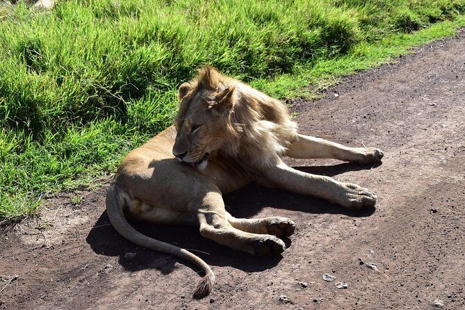 Discover The World's Top Best 4-day Tanzania Group Camping safari - Day 1: Arusha to Central Serengeti and your first afternoon hunt