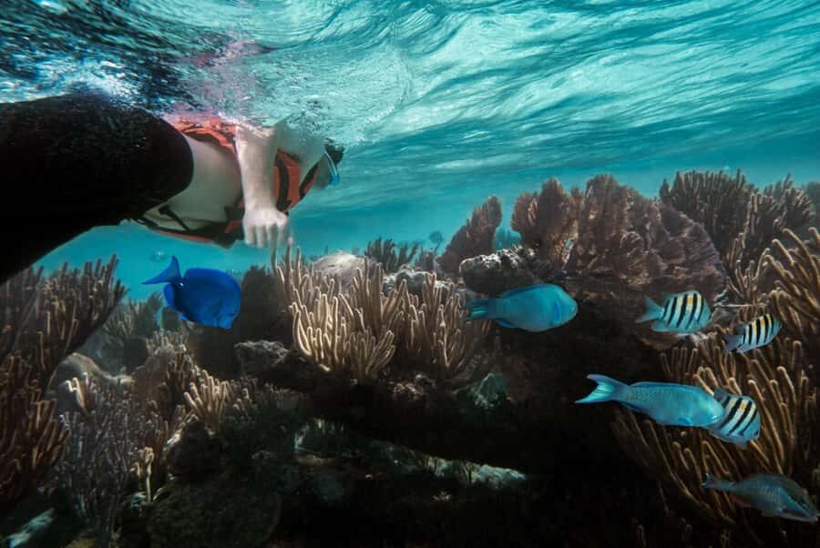 Discover Tumbatu Island: Private Snorkeling Adventure - Entering Tumbatu’s reef zone from Kendwa without the crowds
