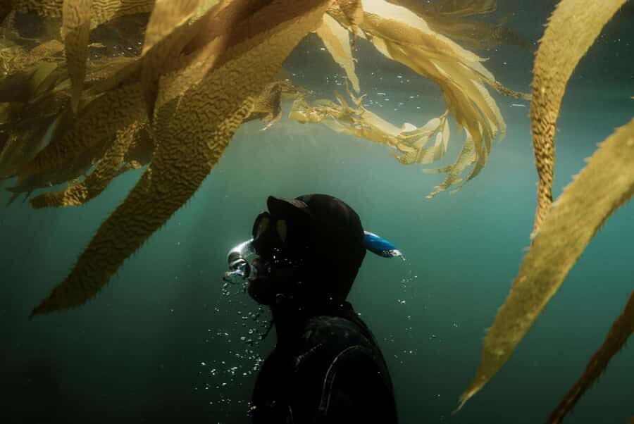 Discover Tumbatu Island: Private Snorkeling Adventure - The beach break: fruits, water, and the reality of landing (or not)