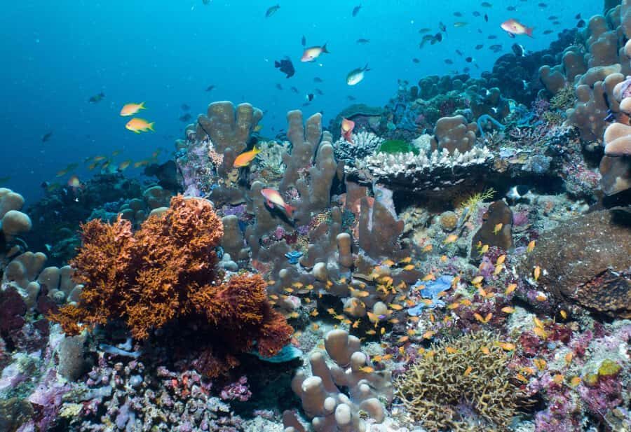 Discover Tumbatu Island: Private Snorkeling Adventure - Pickup and timing that fit your beach day plans