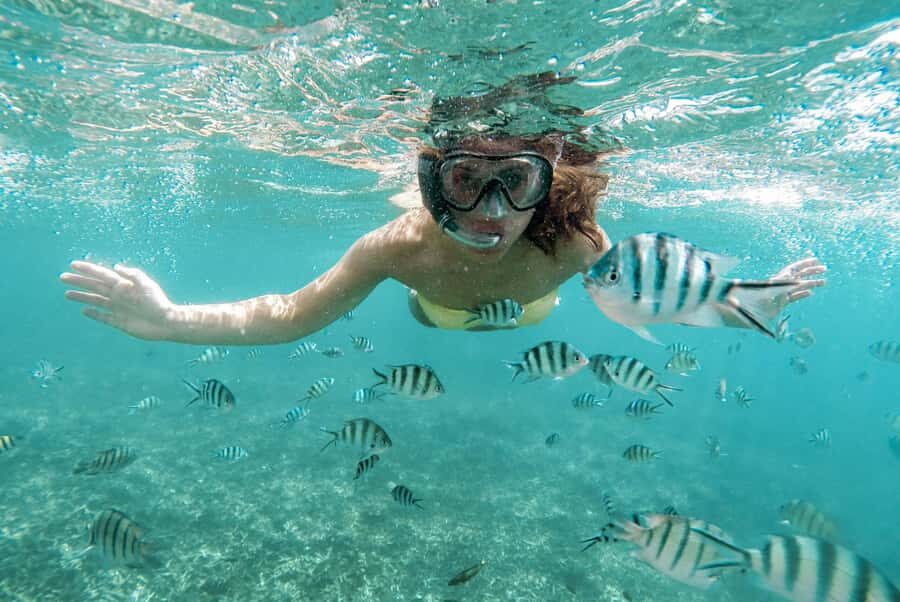Discover Tumbatu Island: Private Snorkeling Adventure - Should you book Tumbatu Island private snorkeling?