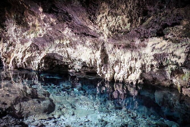 Dolphin tour, Jozani Forest, Jambiani Kuza Cave, Paje Beach &The Rock restaurent - Value check: where this tour shines and where it can frustrate