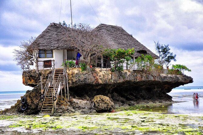 Dolphin tour, Jozani Forest, Jambiani Kuza Cave, Paje Beach &The Rock restaurent - Mnemba dolphin spotting cruise near Matemwe: magic chance, real safety checks