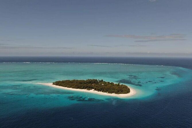 Dolphin Tour, Jozani Forest Tour, Kuza Cave Tour, Paje Beach,The Rock Restaurant - A jam-packed private day across Zanzibar’s northeast and south