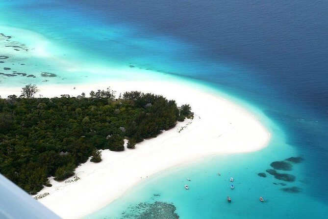 Dolphin Tour, Jozani Forest Tour, Kuza Cave Tour, Paje Beach,The Rock Restaurant - Jozani Chwaka Bay National Park: red colobus and forest trails