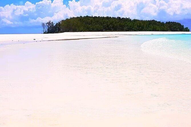 Dolphin Tour, Jozani Forest Tour, Kuza Cave Tour, Paje Beach,The Rock Restaurant - Paje Beach: sand time, shallow-water swimming, and barefoot walks