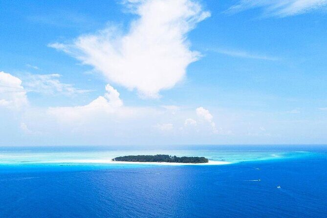 Dolphin Tour, Jozani Forest Tour, Kuza Cave Tour, Paje Beach,The Rock Restaurant - Mnemba Island Atoll snorkeling and dolphin swimming in a marine reserve