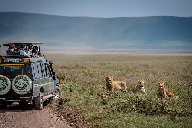 Elephant Special Serengeti & Ngorongoro Crater 5 Days / 4 Nights - Day 1: Tarangire National Park and the Dry-Season Water Pull