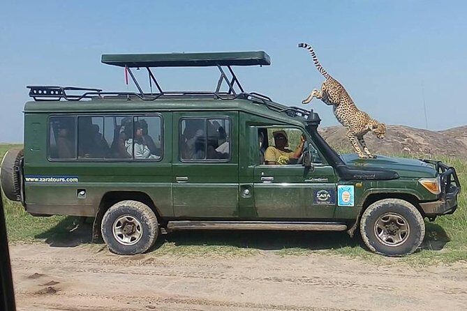 Elephant Special Serengeti & Ngorongoro Crater 5 Days / 4 Nights - Day 4: Ngorongoro Crater Drives for Black Rhino and Black-Manned Lions