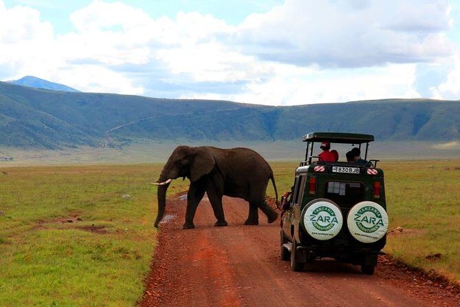 Elephant Special Serengeti & Ngorongoro Crater 5 Days / 4 Nights - Comfort and Photo Tips for Open-Roof Safari Days