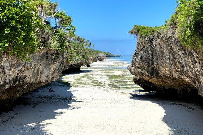 Explore Zanzibar's 6 Quintessential Southeastern Charm Full day - Zanzibar’s southeast route from Zanzibar City: what the day feels like